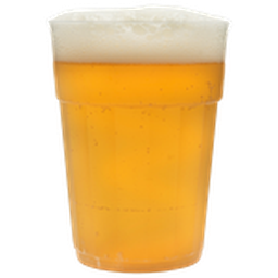 Schooner 425ml premium plastic cup